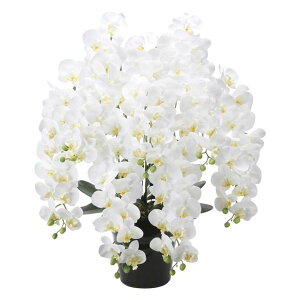 ̊y(2025N) tbVOӒ7{W iԁF2578A500 F90cm - A[gNGCV [G}/lHϗtA]