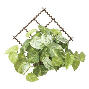 ̊y(2025N) Ǌ|tbV}[u|gX iԁF2604A55 F30cm - A[gNGCV [G}/lHϗtA]