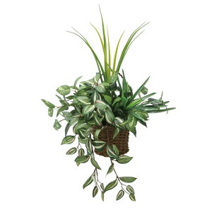 ̊y(2025N) Ǌ|i`OX iԁF281P80 F65cm - A[gNGCV [G}/lHϗtA]