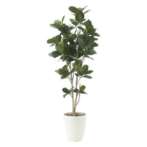 ���̊y��(2025�N��) �p���̖�1.25 �i�ԁF611P240 �����F125cm - �A�[�g�N���G�C�V���� [���G�}/�l�H�ϗt�A��]