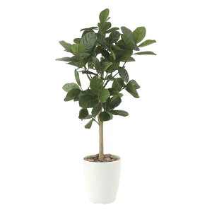 ���̊y��(2025�N��) �p���̖�90 �i�ԁF613P165 �����F90cm - �A�[�g�N���G�C�V���� [���G�}/�l�H�ϗt�A��]