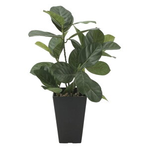 ���̊y��(2025�N��) �p���̖� �i�ԁF636P55 �����F45cm - �A�[�g�N���G�C�V���� [���G�}/�l�H�ϗt�A��]