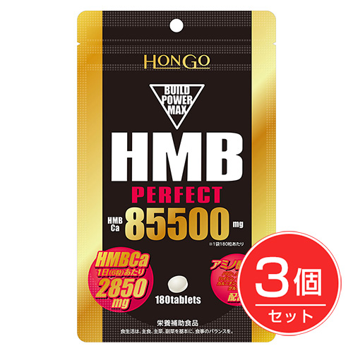 HMB　perfact　パーフェクト85500　300粒×3個セット HONGO　※ネコポス対応商品