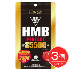 HMB perfact パーフェクト85500 300粒×3個セット - HONGO ※ネコポス対応商品