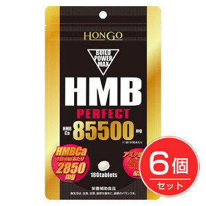 HMB perfact p[tFNg85500 300×6Zbg - HONGO