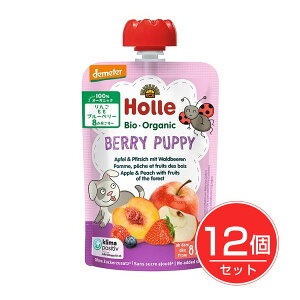 z L@xr[X[W[ x[ps[ 100g×12Zbg - ᔠ