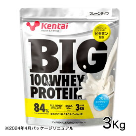 [6月のセール品] ケンタイ BIG100％ ホエイプロテイン プレーンタイプ 3kg - 健康体力研究所 [kentai]