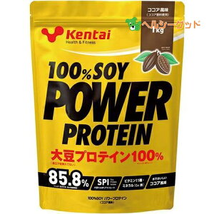P^C 100\Cp[veC RRA 1kg - N̗͌ [kentai/哤veC]