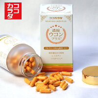 ココカラダ濃縮ウコンプラス90粒【コーワリミテッド】(2)