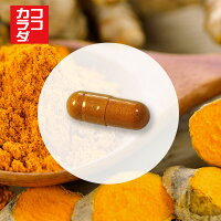 ココカラダ濃縮ウコンプラス90粒【コーワリミテッド】(3)