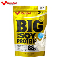 ケンタイプロテインBIG100%ソイプロテインプレーン3kg【健康体力研究所(kentai)】