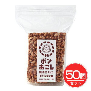 哿 ۂ񂨂 Y`R 60g×50Zbg - 哿