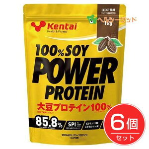 P^C 100\Cp[veC RRA 1kg×6Zbg - N̗͌ [kentai/哤veC]