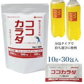 ココカラダ 500ml用分包 10g×30包 (クエン酸粉末飲料) - コーワリミテッド [クエン酸/クエン酸飲料]