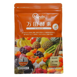 cyf GINGER  2.5g×31 - cy lR|XΉi