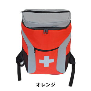 ebNX EX48 hЃ[OobO mA IW 2lp - ebNX