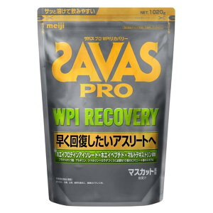 �U�o�X(SAVAS) �v�� WPI ���J�o���[ 1020g - ����