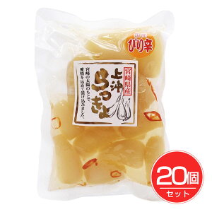 ㉫Y {茧Ysh傤 100g×20Zbg - ㉫Y