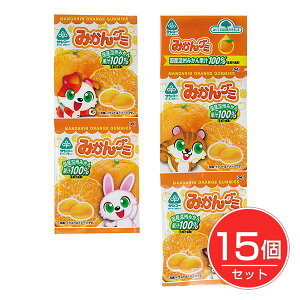 ݂O~ 20g×4×15Zbg - TR[