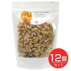 I[KjbN N~  260g×12Zbg - i`Lb`