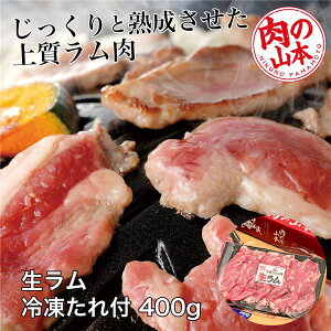 Ⓚ t 400g (200g×2j - ̎R{ [WMXJ/V_[] N[֗Ⓚ