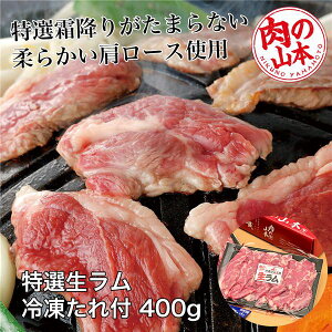 IⓀ t 400g (200g×2j - ̎R{ [WMXJ/[X] N[֗Ⓚ