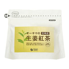 オーサワの生姜紅茶 ティーバッグ 3g×20TB - オーサワジャパン