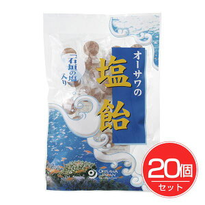 I[TWp I[T̉ Ί_̉ 80g(20)×20Zbg - I[TWp