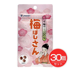 EP ~ڂ ~100 10.8g×30Zbg - EP