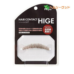 vsA wAR^NgqQ N`qQ s~_ - vsA [tE/Ђ]