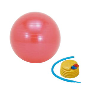 �\�t�^�b�` ���K�G�N�T�T�C�Y�{�[�� �J���[�{�b�N�X 55cm SO-BAL55 - �q���E��