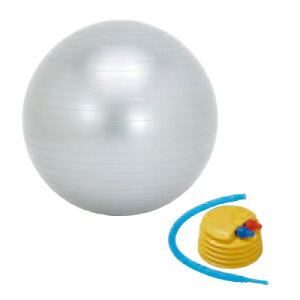 \t^b` KGNTTCY{[ J[{bNX 65cm SO-BAL65 - qE