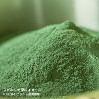 スピルリナスティック(スピルリナ粉末)1.25g×31本入【スピルリナブルー】(5)