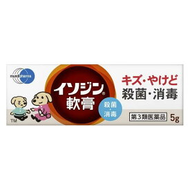 【第3類医薬品】 イソジン軟膏 5g - シオノギヘルスケア ※ネコポス対応商品 [殺菌消毒/ポピドンヨード]