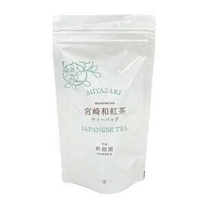 VΉ {ag 2g×20 - VΉ