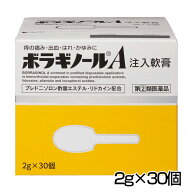【第(2)類医薬品】 ボラギノールA注入軟膏 2g×30個 - 天藤製薬 [外用痔疾用薬/いぼ痔]
