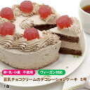 ヘルシーハット 豆乳チョコクリームのデコレーションケーキ  5号...