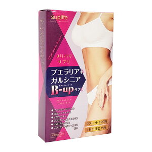 yzvGA+KVjA@B-upTv #q̓Abv #vGA~tBJ