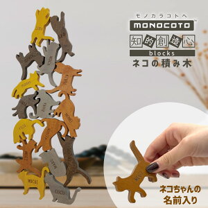 [ monocoto mRg RR̐ςݖ lR ] ςݖ PL ؐ 6Έȏ ݂ m  ϖ mߋ bNoVO ؂̂   j̎q ̎q a l ]g 