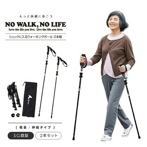 [ bNɓEH[LO|[ 2{g ] EH[LO N nr T|[g  ₷ { s ܂肽  RpNg RpNg y Obv  bN  hV