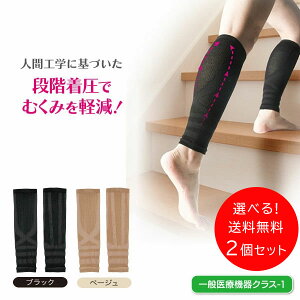 Iׂ! 2Zbg [ ʈË@T|[^[ NiCANeBu ] C Xpbc ^Cc r ނ  r \bNX fB[X szi ނ݌y p 