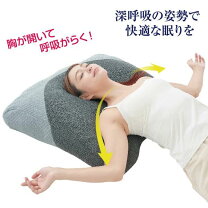 楽天市場】ビッグ ピローの通販