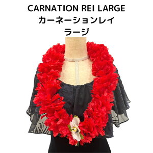 CARNATION REI@J[l[V@C@ԁ@_XpANZT[@nCAC@t_XC
