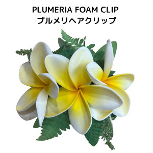 PLUMERIA FOAM HAIR CLIP@vAwANbv@_XpANZT[@nCAC@t_XC