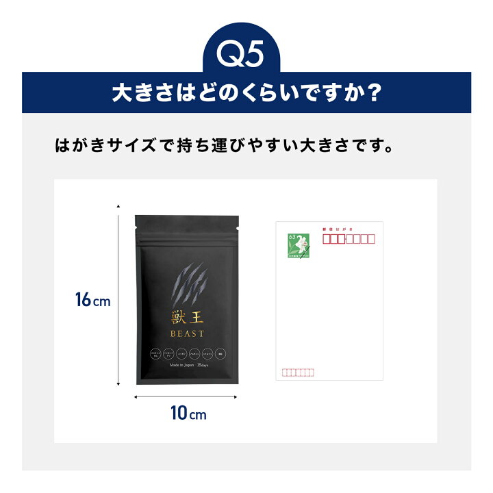 楽天市場】【ポイント10倍!!4/8(火)】公式獣王BEAST 15日分 サプリ 