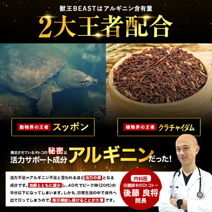 楽天市場】【ポイント10倍!!4/6(日)】公式獣王BEAST 15日分 4点セット 