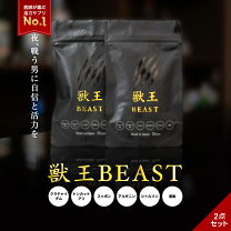 楽天市場】獣王ビーストの通販