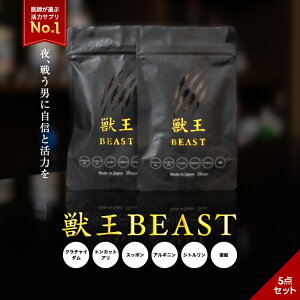 y15%OFF!!9/18()z bBEAST 15 5_Zbg Tv gbJgAz ̗̓AbvTv j͑Tv GlM[⋋ YTv AMj Tvg ۂ N`C