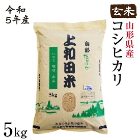 【皇室献上農家のお米】コシヒカリ玄米 5kg | 令和5年産 減農薬 金賞 金賞受賞 特a 特A 玄米 コシヒカリ こしひかり 上和田有機米生産組合 上和田特別栽培米 特別栽培米 農家のお米 お米 おこめ 米 こめ コメ 山形 高畠 高畠町 5キロ 送料無料