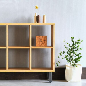 I[vVFt 98cm I[N×ACA